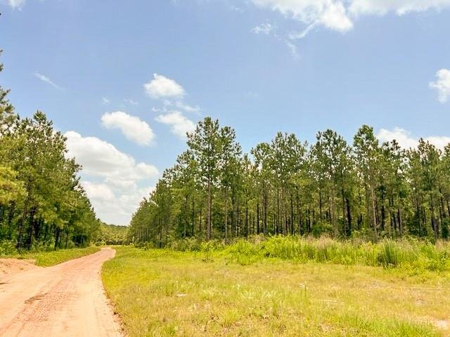 0000 County Road 1325