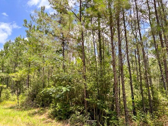 0000 County Road 1325 - Photo 14