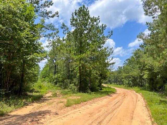 0000 County Road 1325 - Photo 5