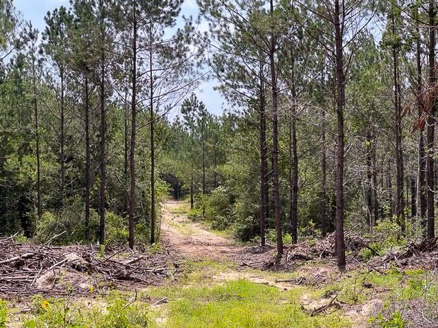 00 FM 92 - Photo 2