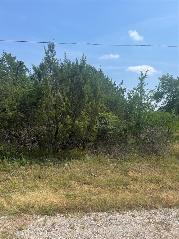 3416 Alabama Trail - Photo 3