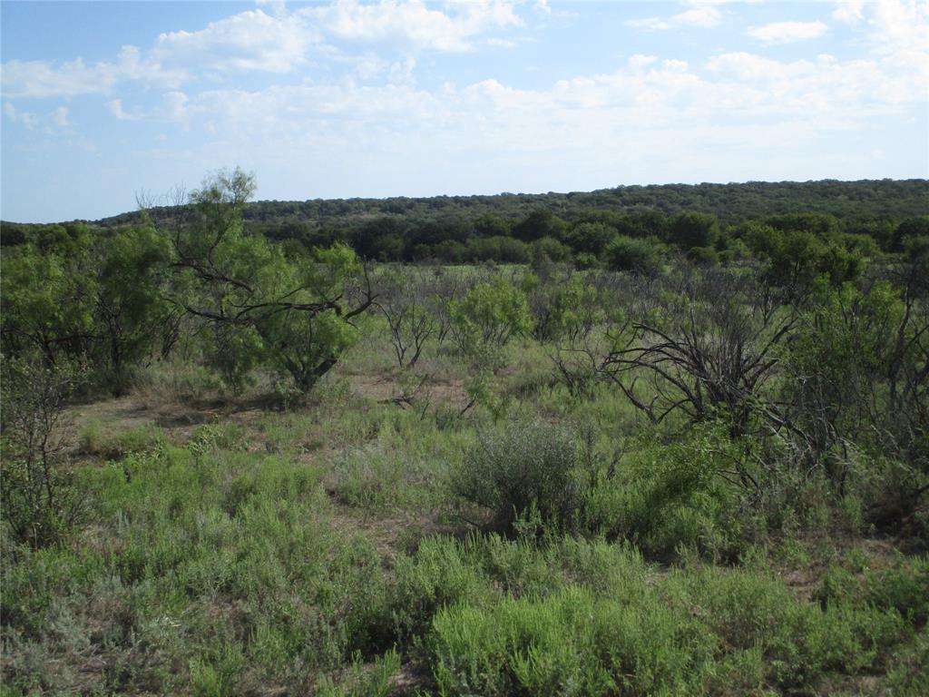80 ac Hwy 16 - Photo 6