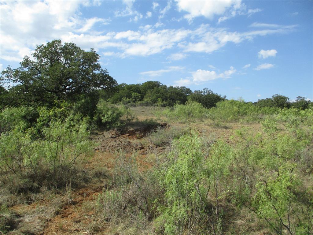 80 ac Hwy 16 - Photo 7