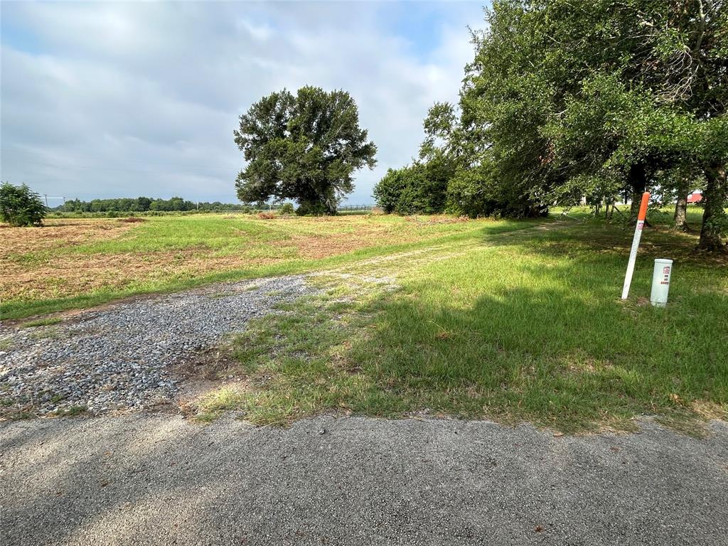 155 US Hwy 79 - Photo 11