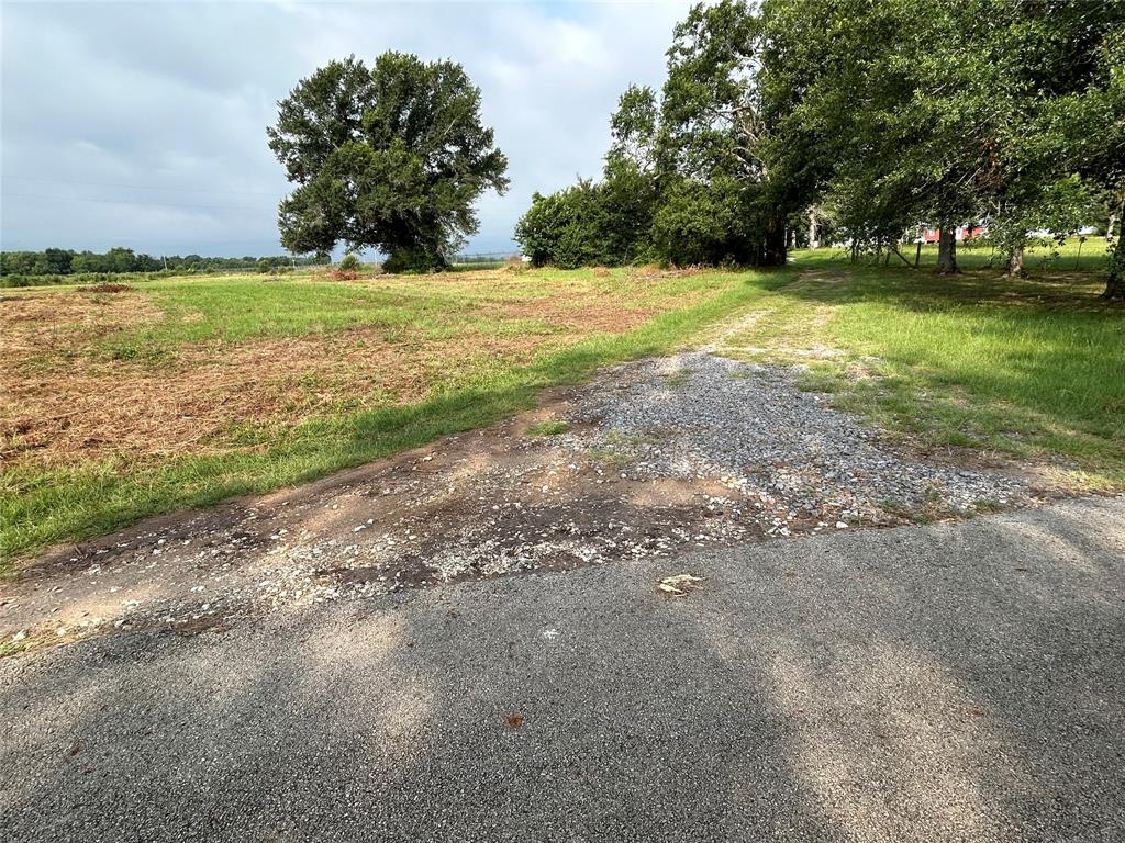 155 US Hwy 79 - Photo 13