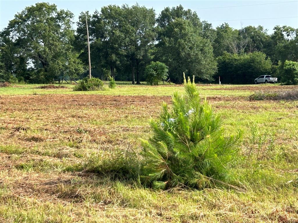 155 US Hwy 79 - Photo 23