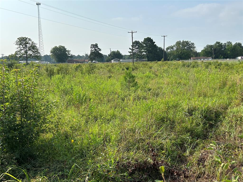 155 US Hwy 79 - Photo 30