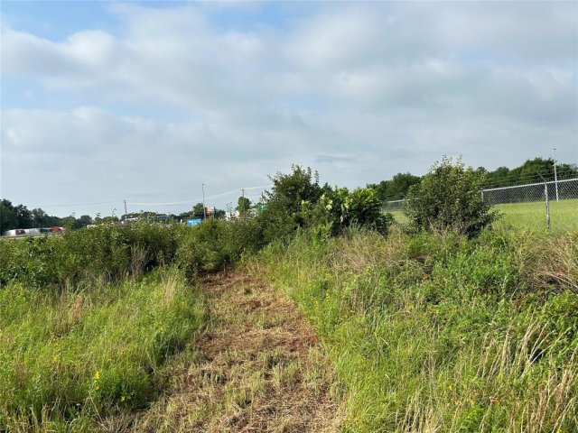 Photo 32