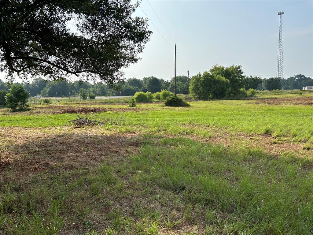 155 US Hwy 79 - Photo 34