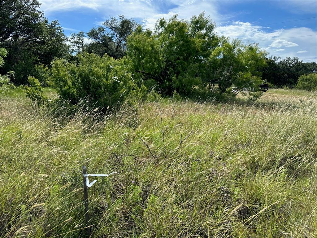 863 Pitchpole Circle - Photo 5