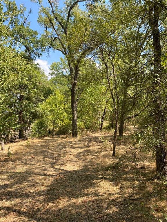 TBD W HWY 84 - Photo 10
