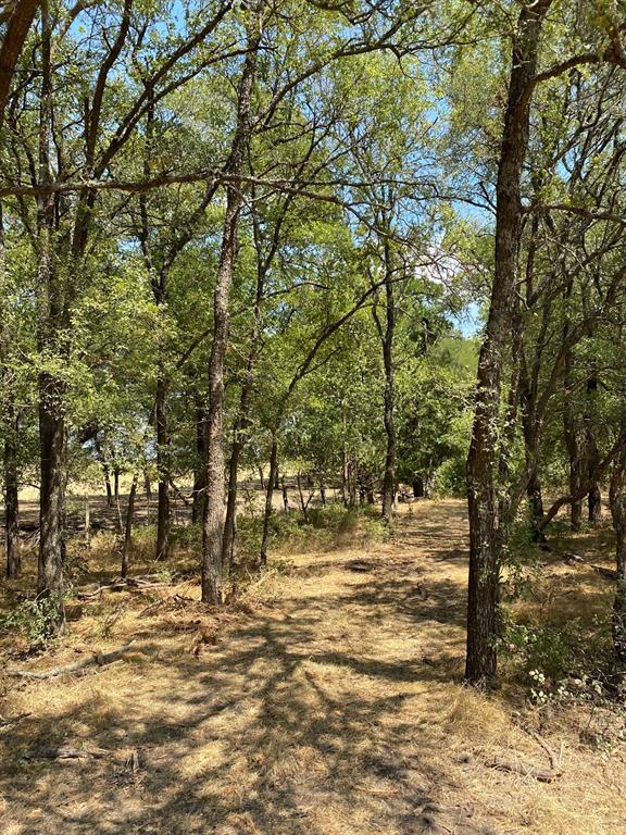 TBD W HWY 84 - Photo 11