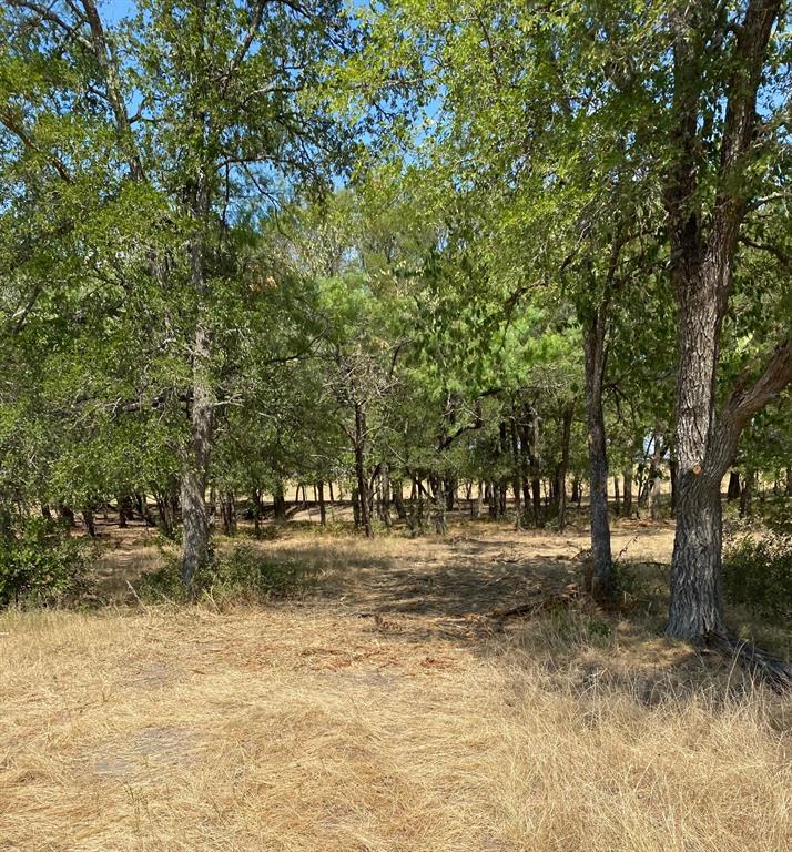 TBD W HWY 84 - Photo 12