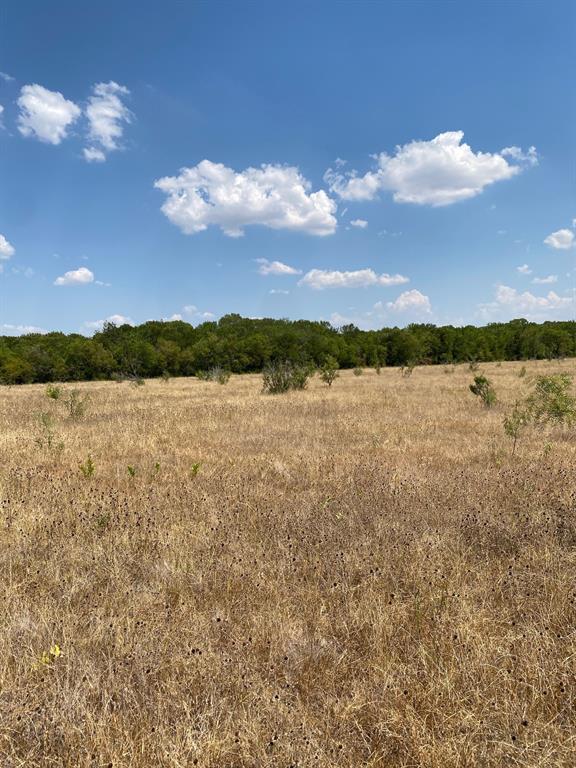TBD W HWY 84 - Photo 14