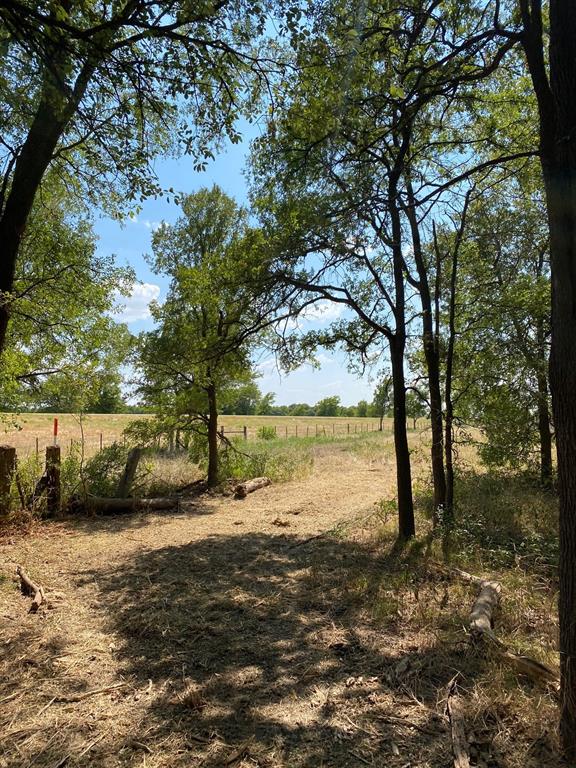 TBD W HWY 84 - Photo 15
