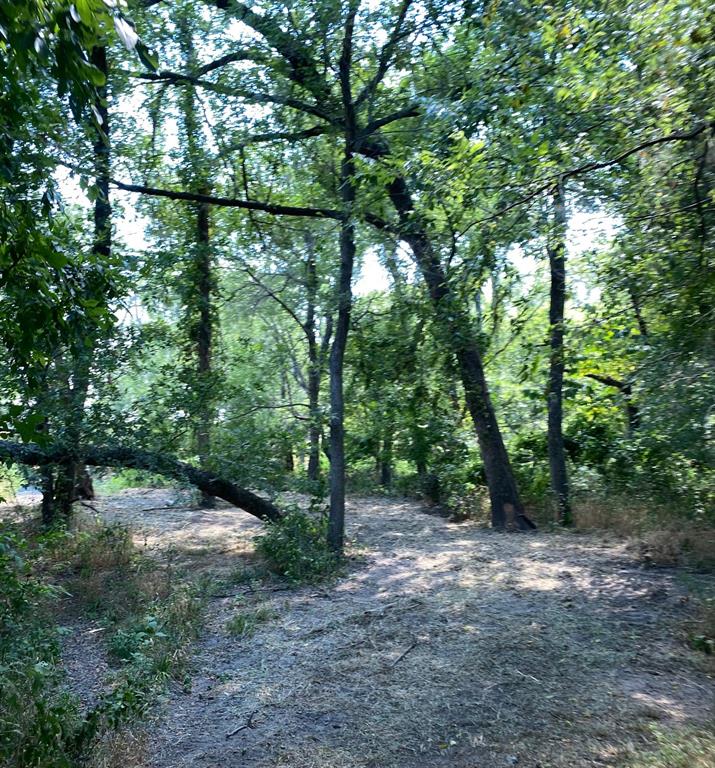 TBD W HWY 84 - Photo 16