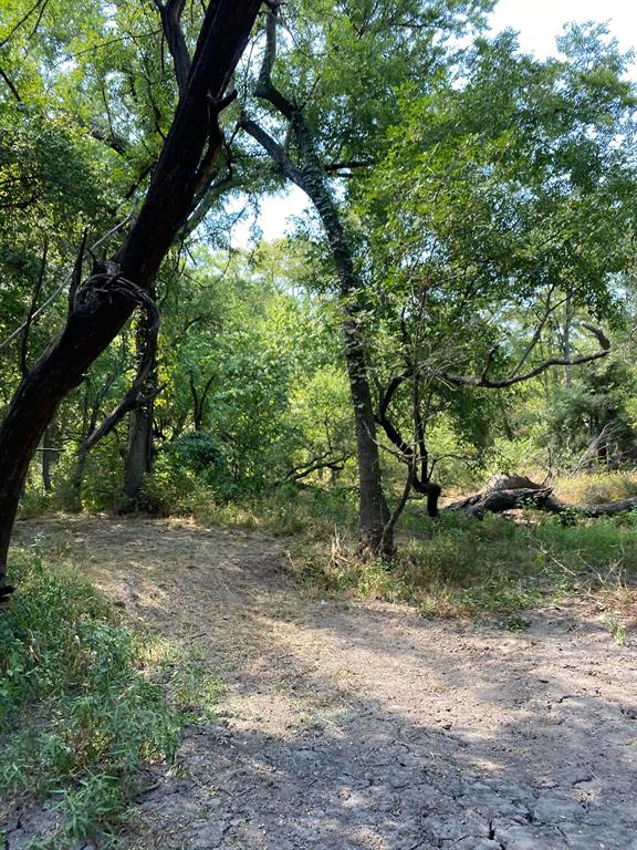 TBD W HWY 84 - Photo 17