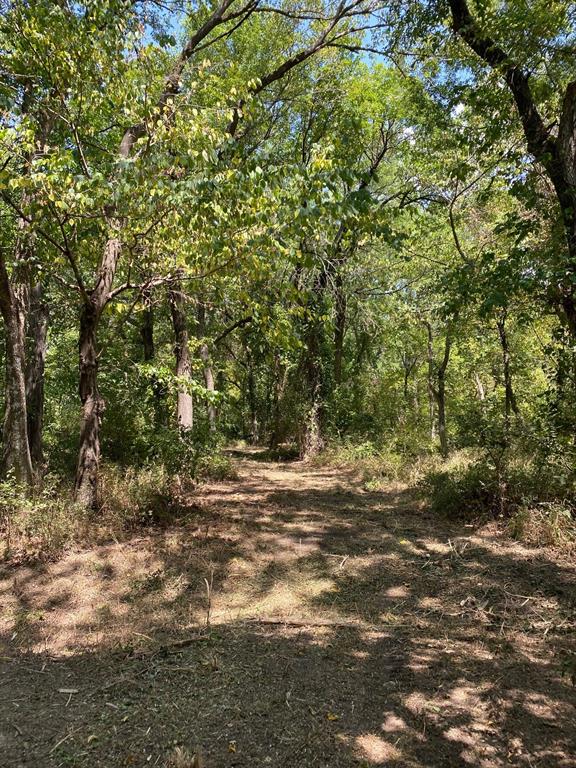 TBD W HWY 84 - Photo 19
