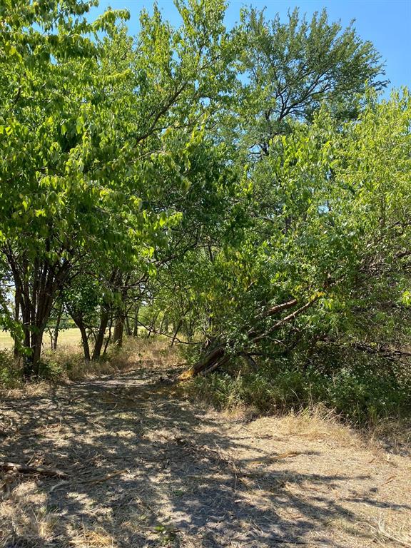 TBD W HWY 84 - Photo 20