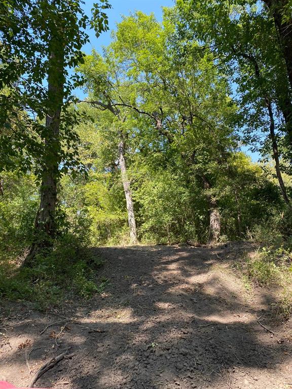 TBD W HWY 84 - Photo 21
