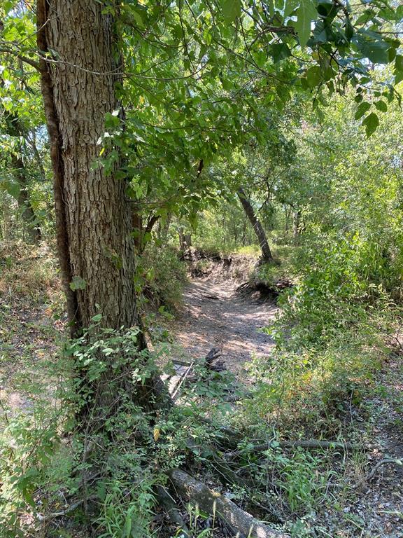 TBD W HWY 84 - Photo 22
