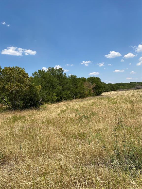 TBD W HWY 84 - Photo 31