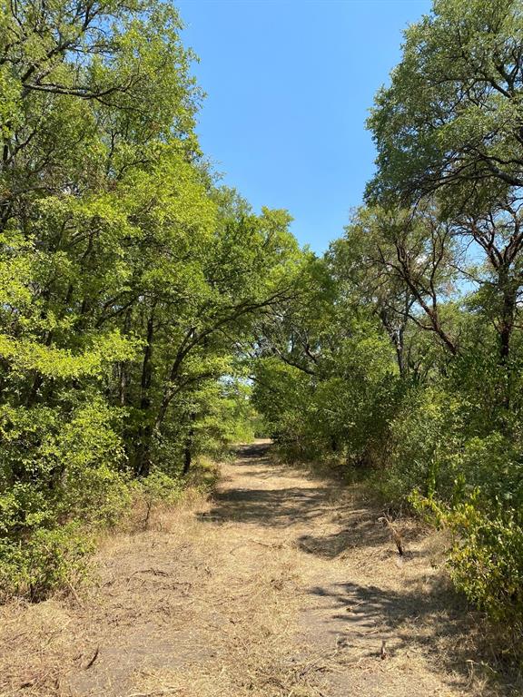 TBD W HWY 84 - Photo 4