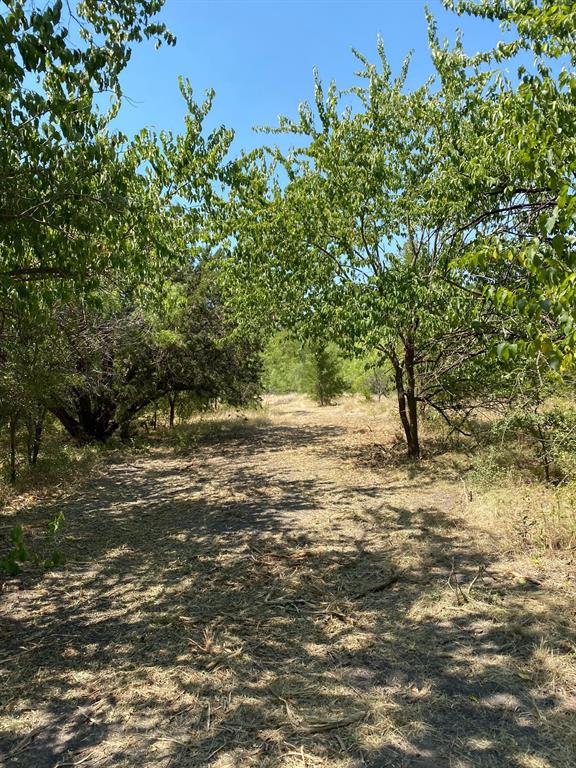 TBD W HWY 84 - Photo 7
