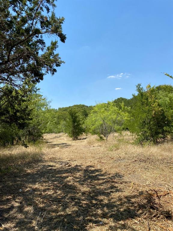 TBD W HWY 84 - Photo 8