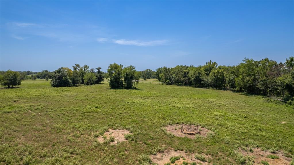 15 Acres Highway 19 - Photo 23