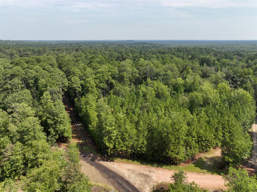 1 County Road 3725 - Photo 16