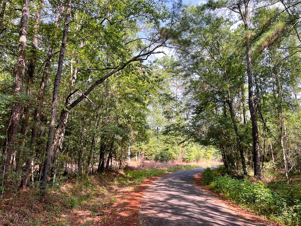 1 County Road 3725 - Photo 20