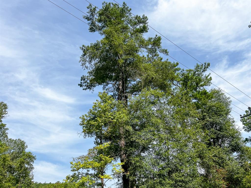 1 County Road 3725 - Photo 23