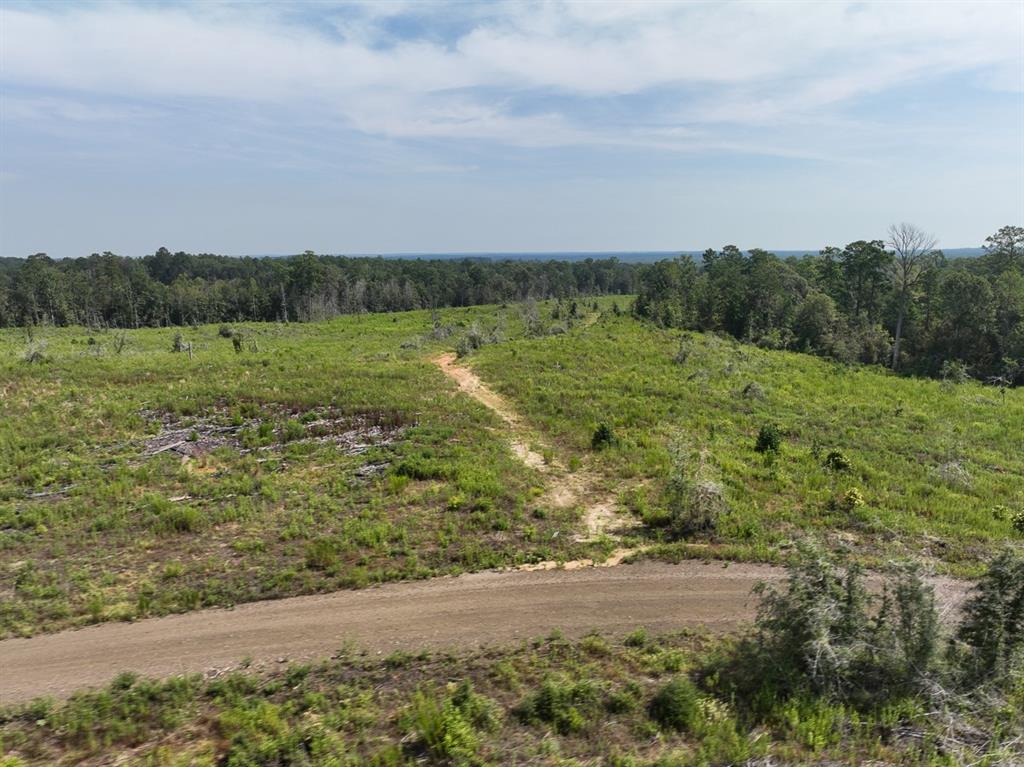 1 County Road 3725 - Photo 9