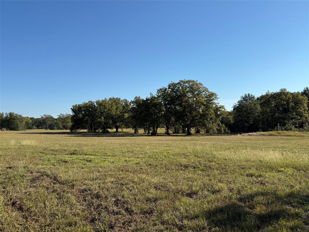 2102 County Road 2610 - Photo 3