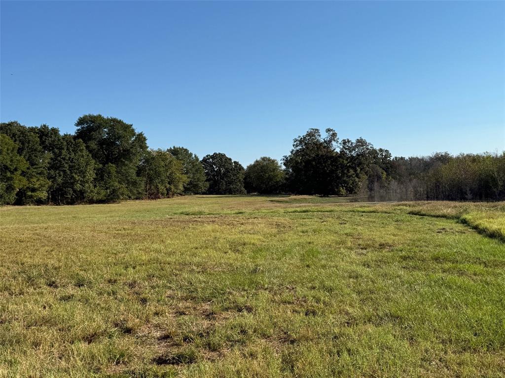 2102 County Road 2610 - Photo 4