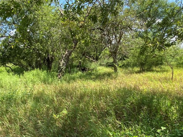 14135 County Road 1144
