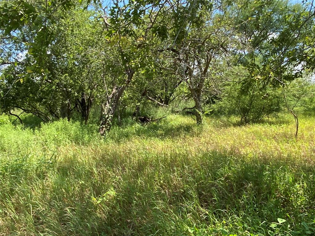 14135 County Road 1144 - Photo 1