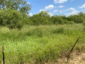 14135 County Road 1144 - Photo 10
