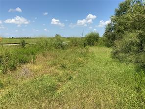 14135 County Road 1144 - Photo 12
