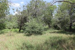14135 County Road 1144 - Photo 15