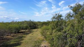 14135 County Road 1144 - Photo 4