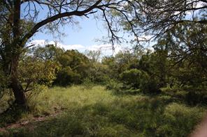 14135 County Road 1144 - Photo 8