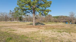 2100 Judson Road - Photo 25