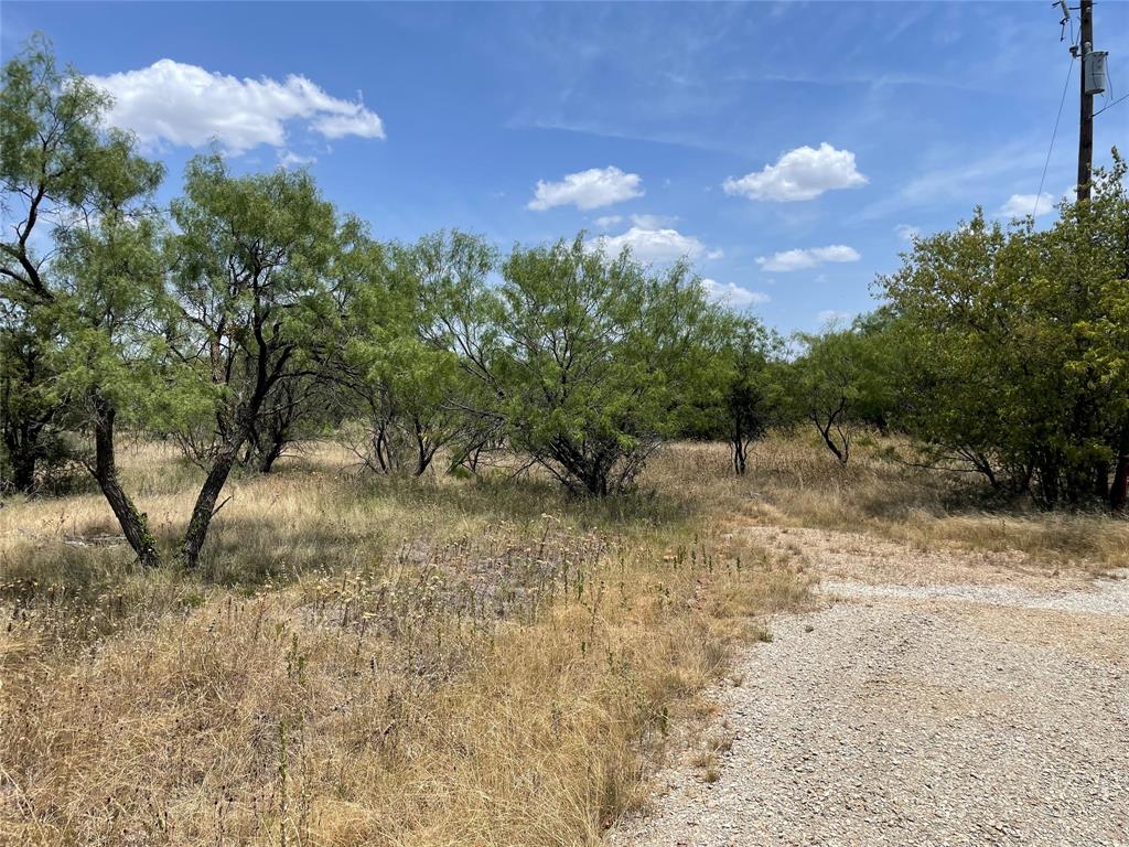TBD CR 316 Road - Photo 1