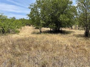 TBD CR 316 Road - Photo 2