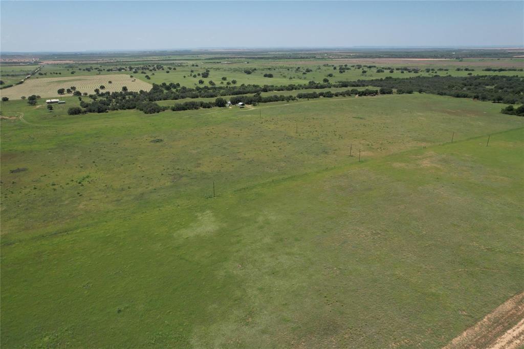 Lot 3 Blue Lacy Lane - Photo 13
