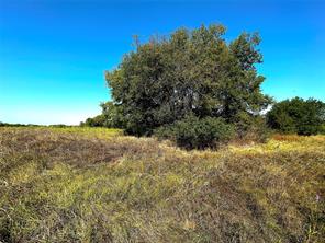 0 Choctaw Trail - Photo 3