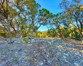 3600 Mt Sharp Rd - Photo 9