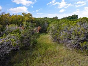 1005 County Rd 407a - Photo 16